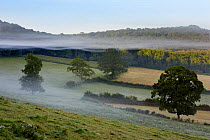 Misty morning on farmland nr Sherborne, Dorset, England, UK