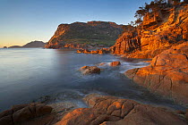 Dawn at Sleepy Bay, Freycinet Peninsula, Freycinet National Park, east coast, Tasmania, Australia