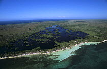 Aerial view of mangrove swamp, Isla de Utila, Bay Islands, Caribbean coast, Honduras 2006