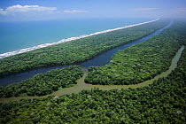 Aerial view of 'canal' and Caribbean coastline, Tortuguero NP, Costa Rica, Central America 2006