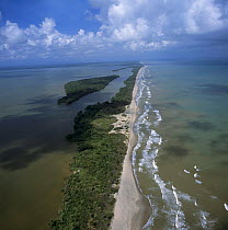 Aerial view of Brus Lagoon (on left) and Caribbean coast, Mosquitio coast, NE Honduras, Central America 2006
