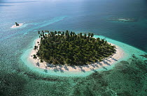 Aerial view of island with Coconut palm trees, San Blas Islands, Caribbean coast, Panama 2006