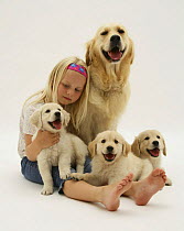 Girl sitting with Golden Retriever bitch and three pups.