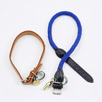 Leather and plaited rope dog collars.