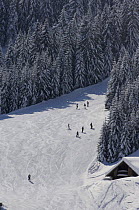 Ski slope in the Alps, Haute Savoie, France, where a swathe of coniferous forest has been cut down to create a ski run.