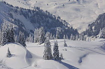 Landscape under fresh snow, Alps, Haute Savoie, France.