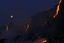 Red hot molten lava from Kilauea Volcano cascades down a sea cliff at dawn, creating heat waves that cause the full moon to shimmer, Hawaii Volcanoes NP, Hawaii