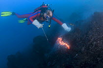 Diver Bud Turpin observes erupting pillow lava at ocean entry of Kilauea Volcano on Hawaii Island, Hawaii. Model released MR 381