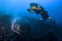 Videographer Shane Turpin films pillow lava erupting underwater at Kilauea Volcano, Hawaii, MOdel released MR 382