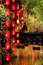 Traditional Chinese lanterns hanging over water, Lijiang, Yunnan Province, China   2006
