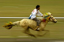 Horse galloping at the Horse Racing Festival or 'Heavenly Steed Festival' which takes place on the 5th and 6th days of the fifth lunar month. Zhongdian, Deqin Tibetan Autonymous Prefecture, Yunnan Pro...