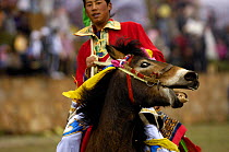 Horse {Equus caballus} and rider at the Horse Racing Festival or 'Heavenly Steed Festival' which takes place on the 5th and 6th days of the fifth lunar month. Zhongdian, Deqin Tibetan Autonymous Prefe...
