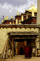Monks at Songzhanling Monastery - a Yellow Hat Tibetan sect monastery - founded in the 17th century. Zhongdian, Deqin Tibetan Autonymous Prefecture, Yunnan Province, China 2006