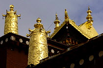 Songzhanling  Buddhist Monastery, Zhongdian, Deqin Tibetan Autonymous Prefecture, Yunnan Province, China 2006