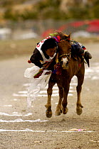Horse and rider competing in grabbing scarves event at the Horse Racing Festival or 'Heavenly Steed Festival'. Zhongdian, Deqin Tibetan Autonymous Prefecture, Yunnan Province, China 2006
