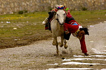 Horse and rider competing in Grabbing scarves event at the Horse Racing Festival or 'Heavenly Steed Festival'. Zhongdian, Deqin Tibetan Autonymous Prefecture, Yunnan Province, China 2006