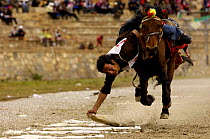 Horse and rider competing in Grabbing scarves event at the Horse Racing Festival or 'Heavenly Steed Festival'. Zhongdian, Deqin Tibetan Autonymous Prefecture, Yunnan Province, ChinaPrefecture, Yunnan...