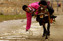 Horse and rider competing in Grabbing scarves event at the Horse Racing Festival or 'Heavenly Steed Festival'. Zhongdian, Deqin Tibetan Autonymous Prefecture, Yunnan Province, China 2006