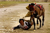 Rider falling off horse while competing in Grabbing scarves event at the Horse Racing Festival or 'Heavenly Steed Festival'. Zhongdian, Deqin Tibetan Autonymous Prefecture, Yunnan Province, China  200...