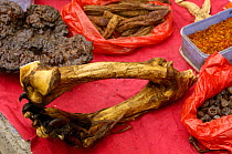 Tiger leg bones and feet with claws for sale as medicine by Tibetans in a market near Fugong, Yunnan Province, China 2006