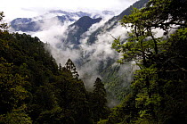 Mist over Nu River Canyon near Gongshan in Dulongjiang Prefecturate, Yunnan Province, China 2006