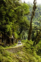 Road track cutting through forest of Nu River Canyon near Gongshan in Dulongjiang Prefecturate, Yunnan Province, China 2006