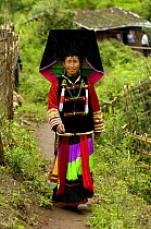 Colourful belt Yi woman - one of the sub-groups of the Yi Ethnic minority people from the mountains near Liuku, Nujiang Prefecture, Yunnan Province, China 2006