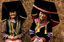 Colourful belt Yi women - one of the sub-groups of the Yi Ethnic minority people from the mountains near Liuku, Nujiang Prefecture, Yunnan Province, China 2006