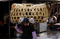 Local Chinese people carrying chickens in a basket on her back, Yuanyang Market, Honghe Prefecture, Yunnan Province, China 2006