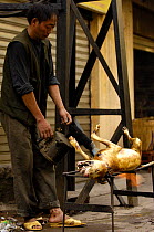 Dead dog slaughtered for food - hair is taken off with boiling water then the skin is torched before the meat is  cooked, Yuanyang, Honghe Prefecture, Yunnan Province, China   2006