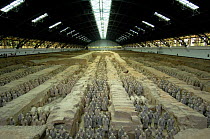 Terracotta Army warriors and horses at the Mausoleum of Qin Shi Huang. Pit number one. Xi'an, Shaanxi Province, China 2006