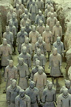 Terracotta Army warriors at the Mausoleum of Qin Shi Huang. Pit number one. Xi'an, Shaanxi Province, China 2006