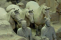 Close up of Terracotta Army Warriors and Horses at the Mausoleum of Qin Shi Huang. Pit number one. Xi'an, Shaanxi Province, China 2006