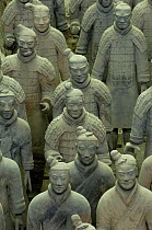 Terracotta warriors at the Mausoleum of Qin Shi Huang. Pit number one. Xi'an, Shaanxi Province, China 2006