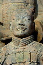 Terracotta Army Warrior at the Mausoleum of Qin Shi Huang. Pit number one. Xi'an, Shaanxi Province, China 2006