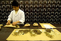 Man dispensing traditional medicine, Beijing, China 2006