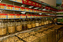 Jars of medicines at the Kunming Traditional Medicine Market. Yunnan Province China 2006
