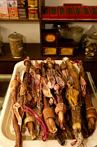 Animal penises for sale at Kunming Traditional Medicine Market, Yunnan Province, China   2006