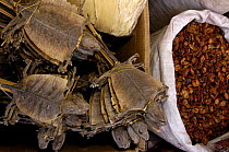 Dried geckos for sale at Kunming Traditional Medicine Market, Yunnan Province, China 2006