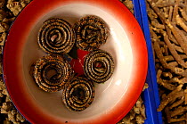 Dried snakes for sale in Kunming Traditional Medicine Market, Yunnan Province, China   2006