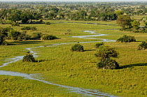 Seasonal flood moving through the floodplain, Okavango Delta, Botswana, Southern Africa.