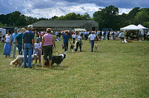 People with their dogs on leads, at an agricultural show