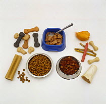 Different types of dog food: tinned, complete dry food, tinned, biscuits and chews