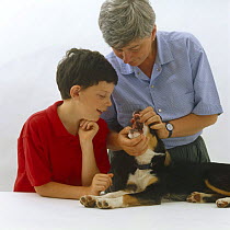 Woman showing boy how to open a pup's mouth and look at its tongue and teeth