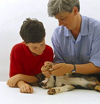 Woman showing boy how to look at pups front paw