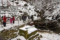 Tourists watching Japanese Macaques {Macaca fuscata} in hot thermal pool, Hell's Valley, Jigokudani, Japan, Note webcam in foreground