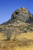 Koppie (rhyolite hill) dominating the landscape, Kruger NP, South Africa
