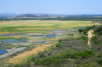 Aerial view of Palo Verde NP wetlands, Costa Rica, Central America