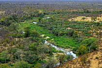 Lush riverine growth along river in the Kruger NP, South Africa
