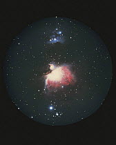 Orion Nebula M42, Fukushima, Japan